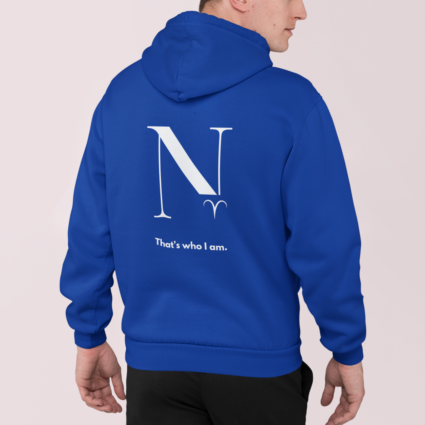 Astromood Aries hoodie + N